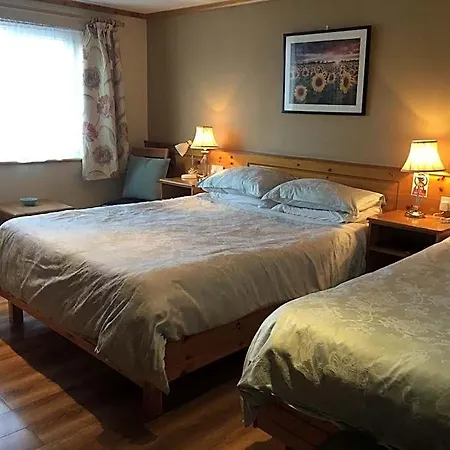Bed & Breakfast Algret House 4*