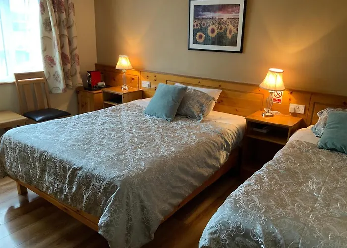 アルグレット　ハウス　b＆b 4* キラーニー